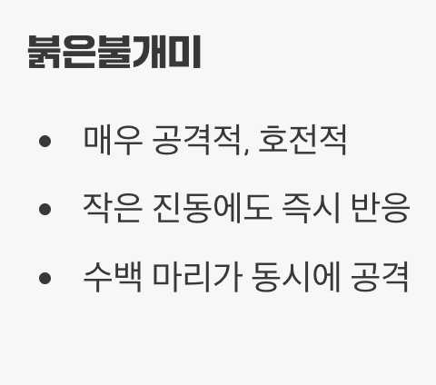 결정적 차이 2: 행동이 달라요