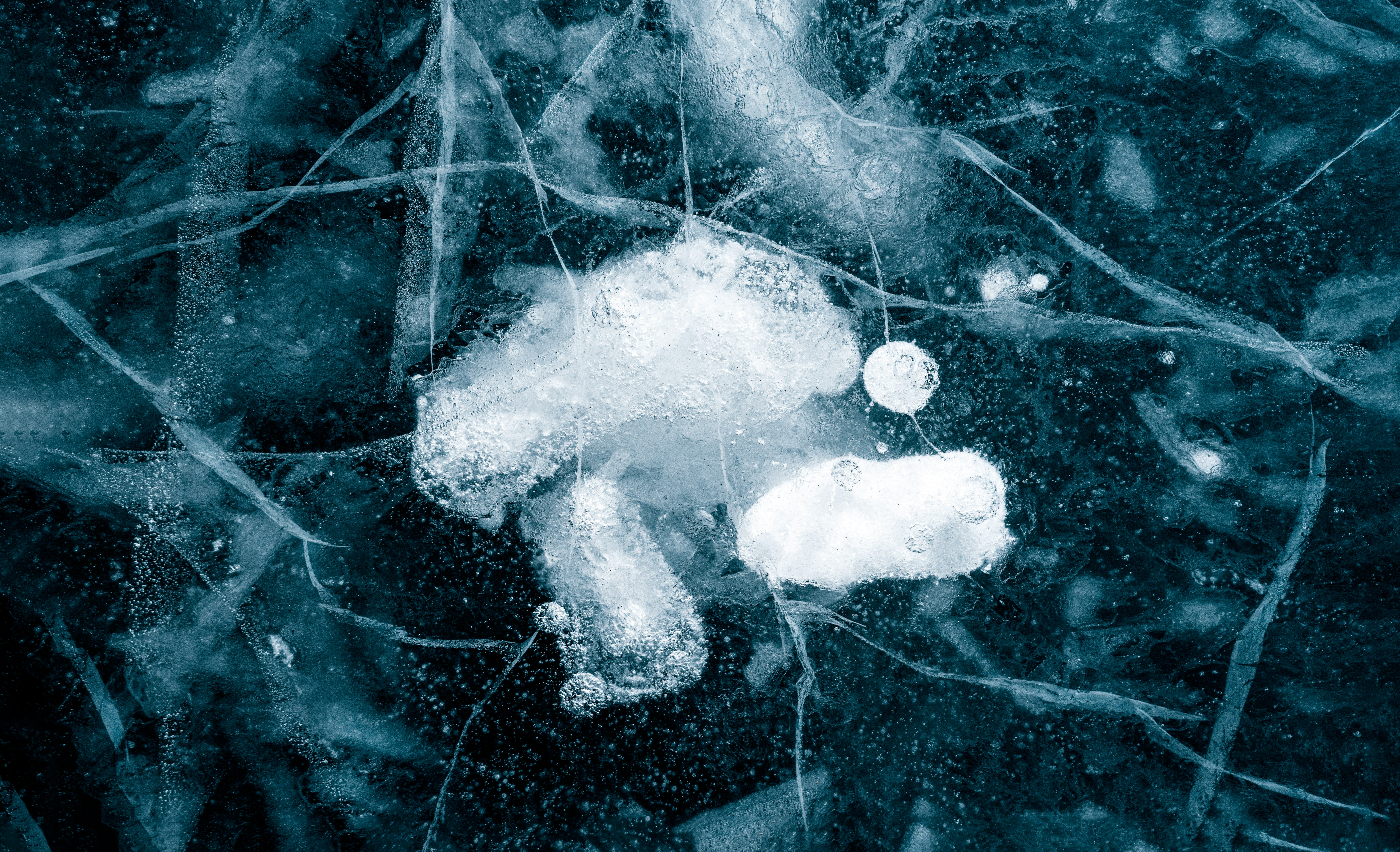 인지장애 6가지 증상 및 경도 장애 (+ 등급 검사 경도 치료약)