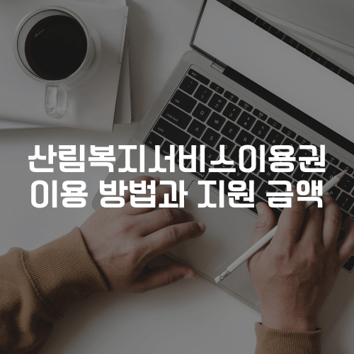 산림복지서비스이용권 이용 방법과 지원 금액
