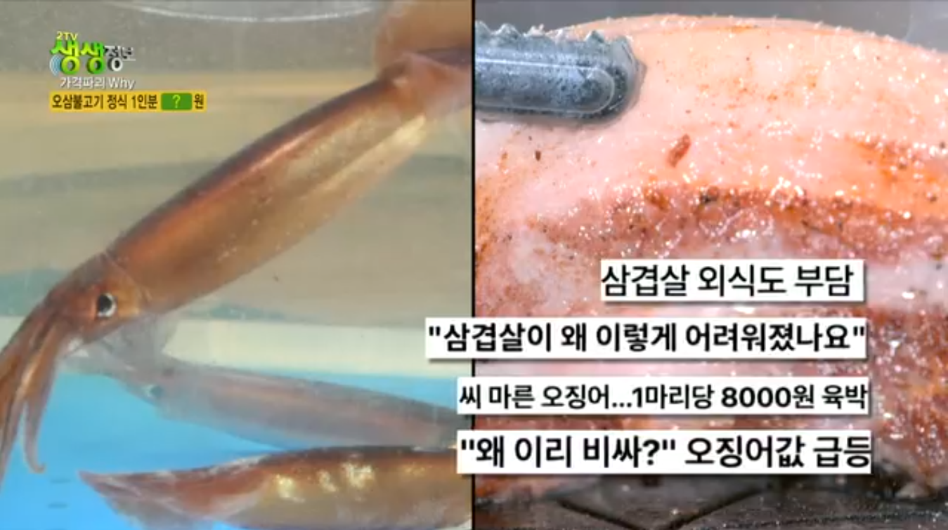 생생정보 가격파괴why 서울 관악구 오삼불고기 정식