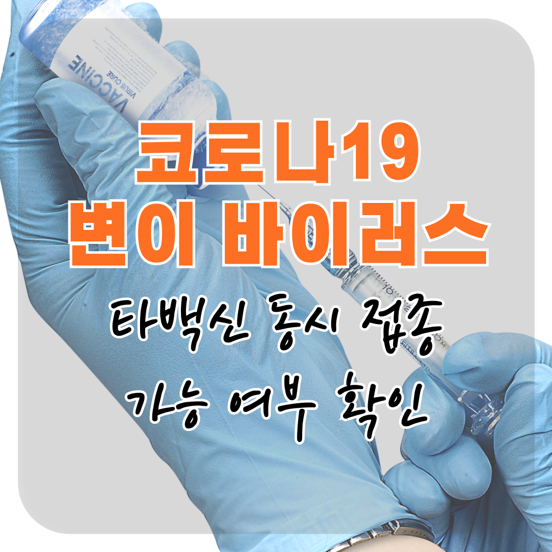 2025 코로나19 다른 백신과 동시 접종 가능 여부
