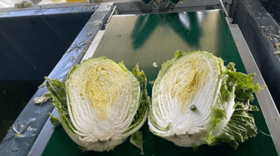 절임배추 추천 순위 TOP 5(24년 11월) - 네이버&amp;#44; 쿠팡 절임배추 판매 분석