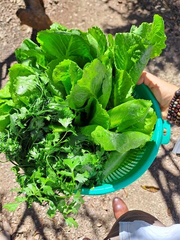 손톱에 세로줄이 생기는 이유 알아보기 : 원인 및 관리방법