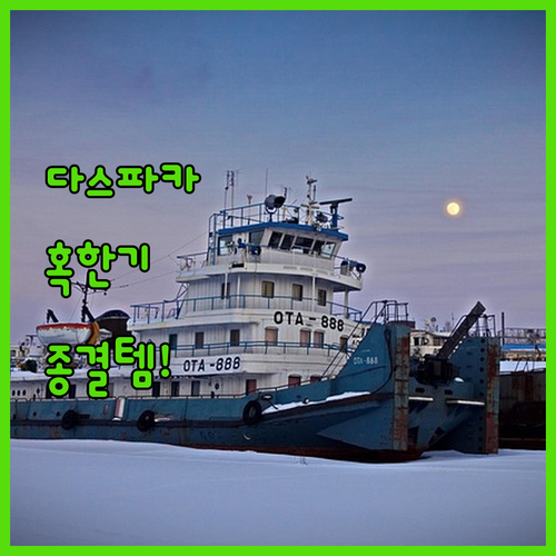 파타고니아 다스 파카 혹한기 레이어링..