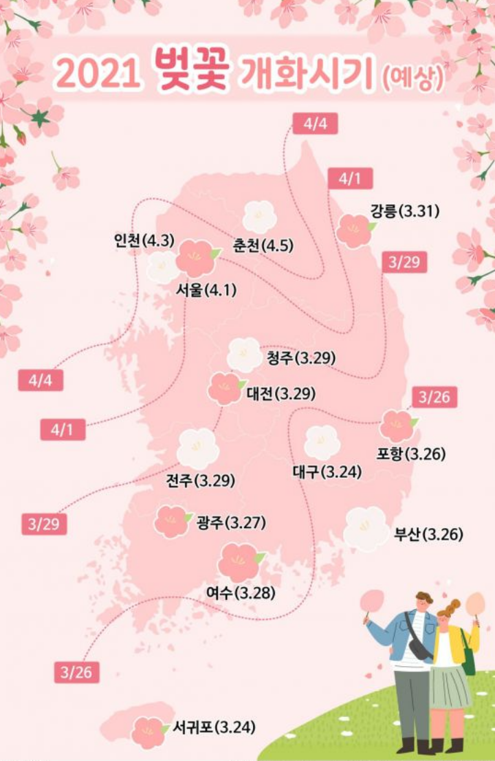 2021 벚꽃 개화시기 전국적 안내