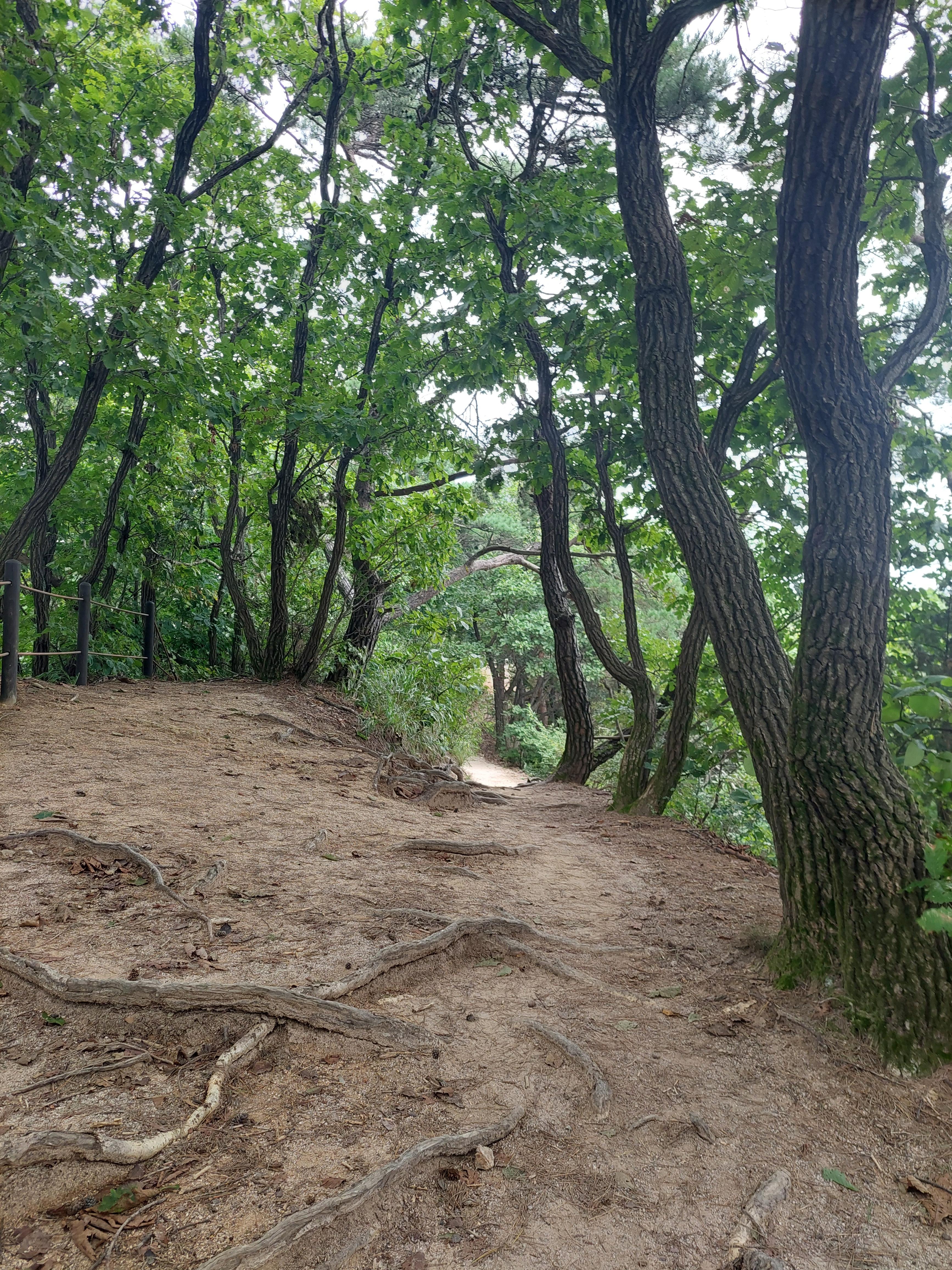 사패산