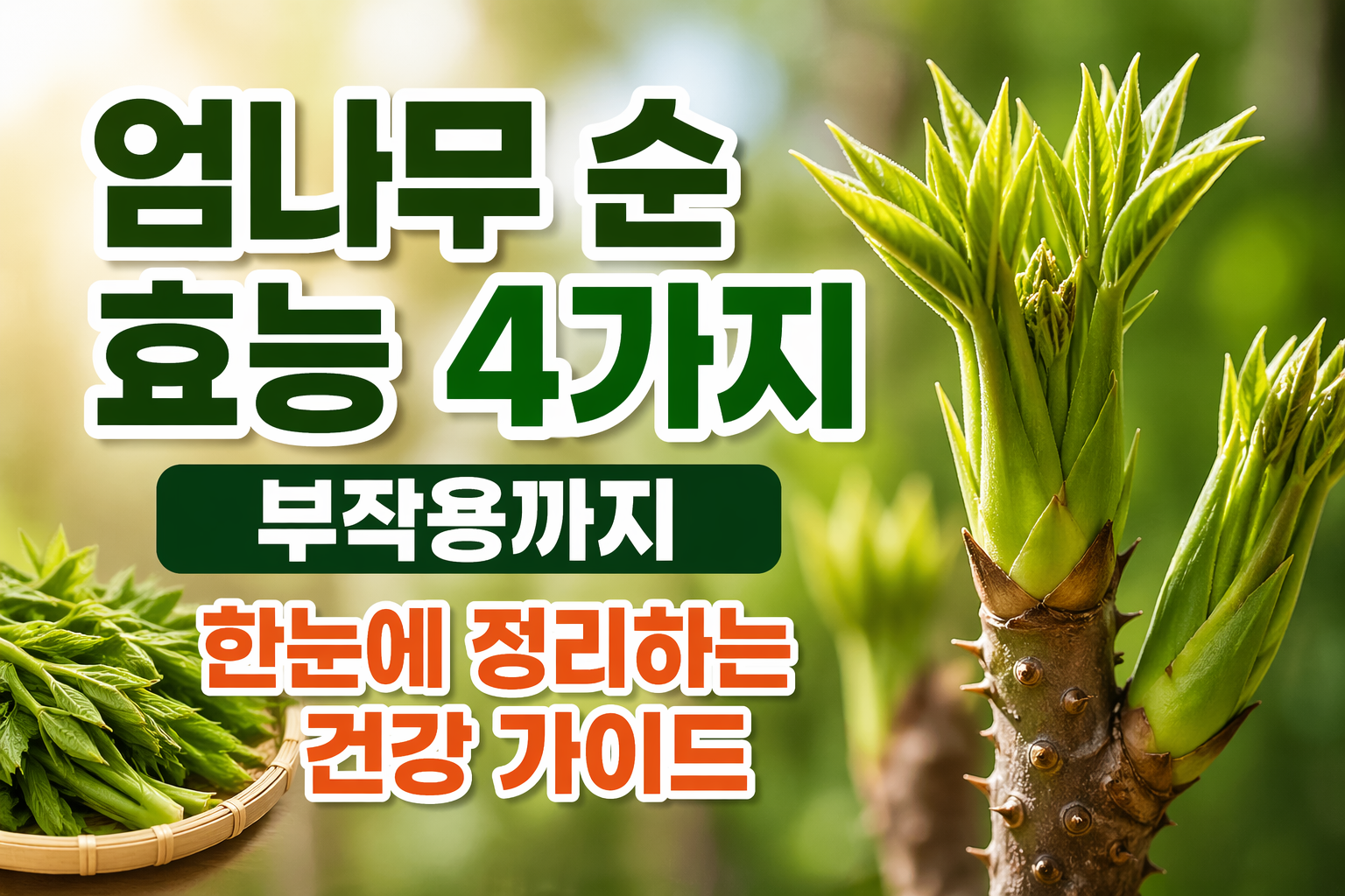 엄나무 순 효능