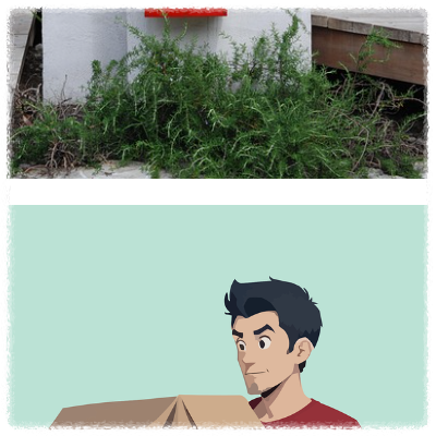 쿠팡 로켓배송 배송기사 연락처 안내