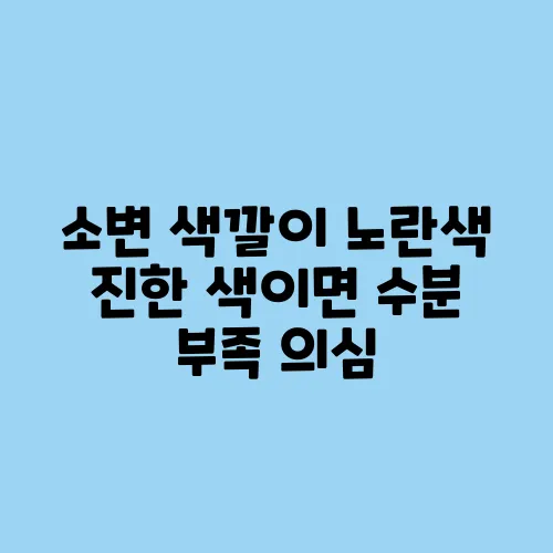 소변 색깔이 노란색 진한 색이면 수분 부족 의심