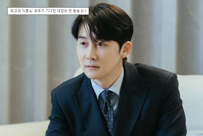 굿파트너드라마다시보기 ott 출연진 등장인물 인물관계도 장나라 남지현 줄거리 작가 원작 티저영상