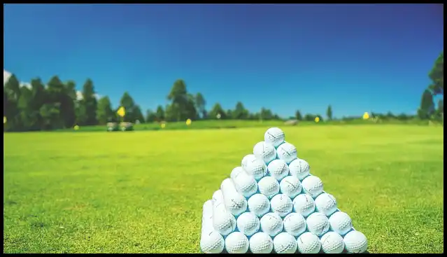 파크골프채 가격 추천 (혼마, 피닉스, 미즈노)