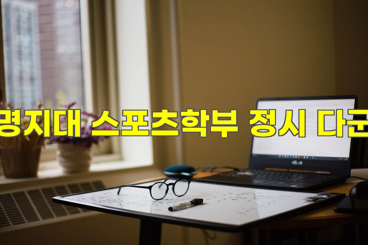 명지대 스포츠학부 정시 다군