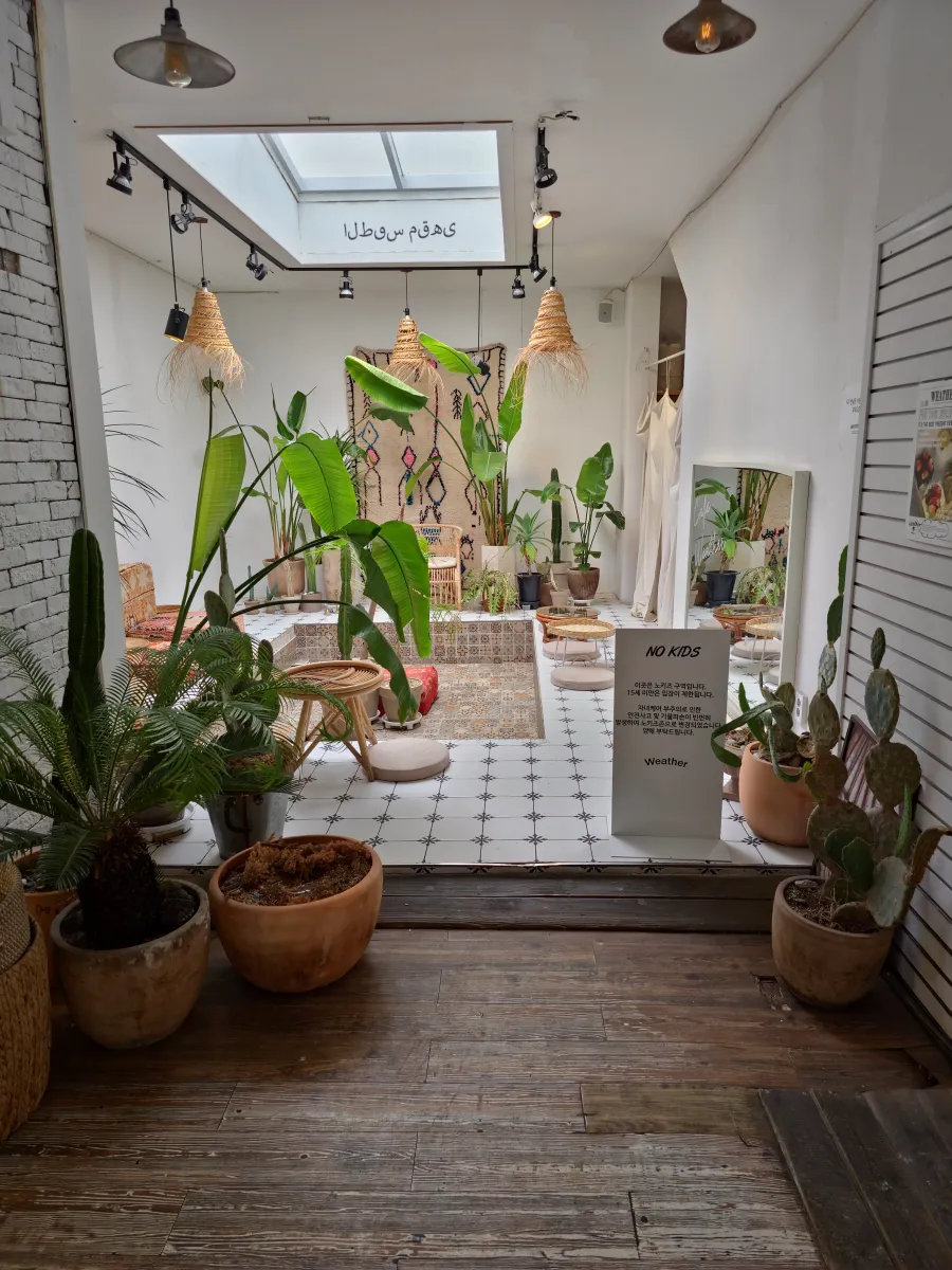 카페내부인테리어-식물