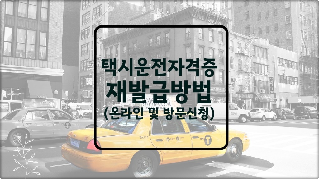 택시 면허증 재발급