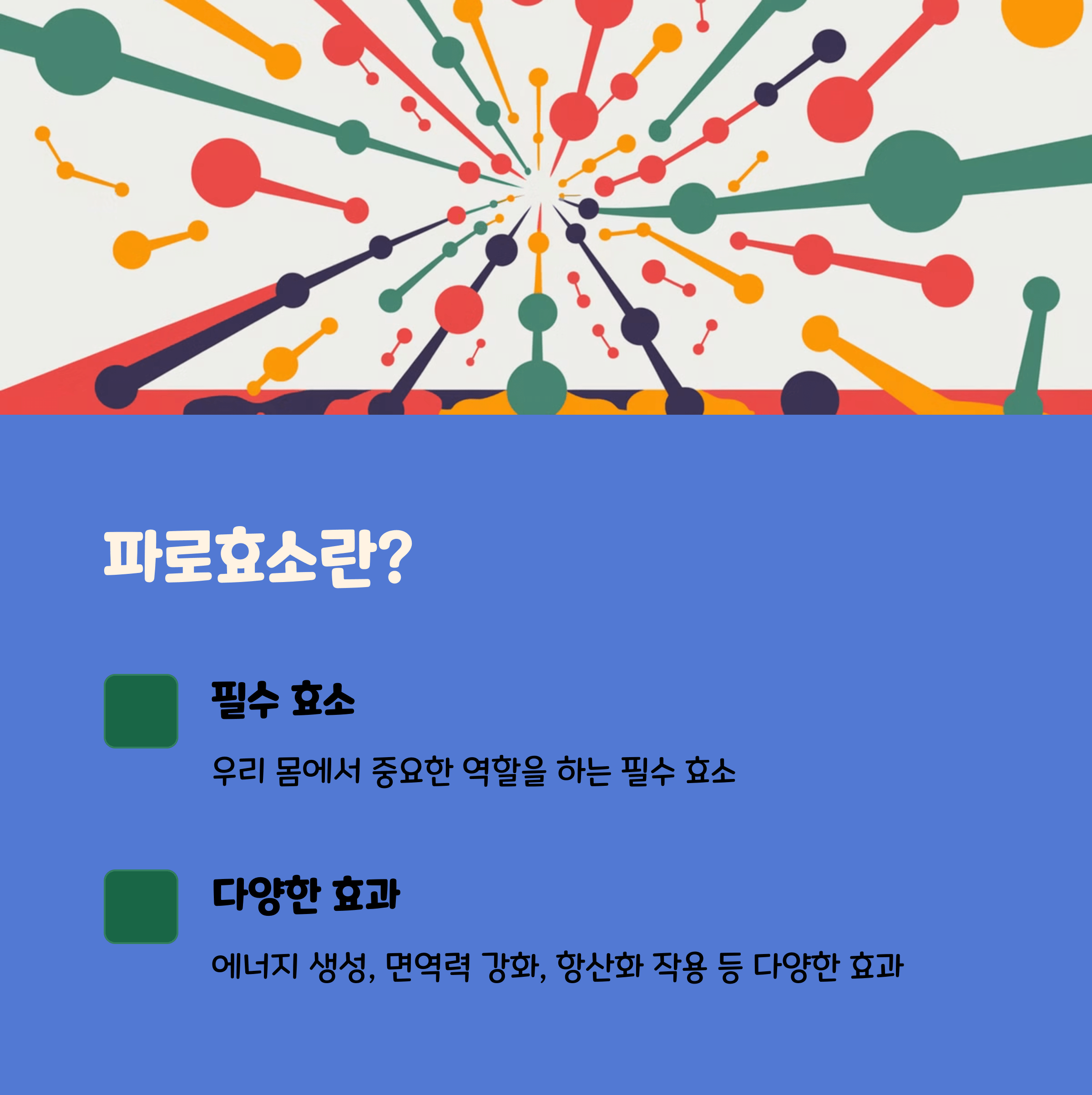 파로효소 효능
