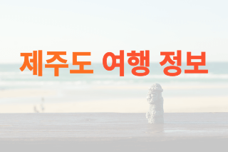 제주도-여행정보