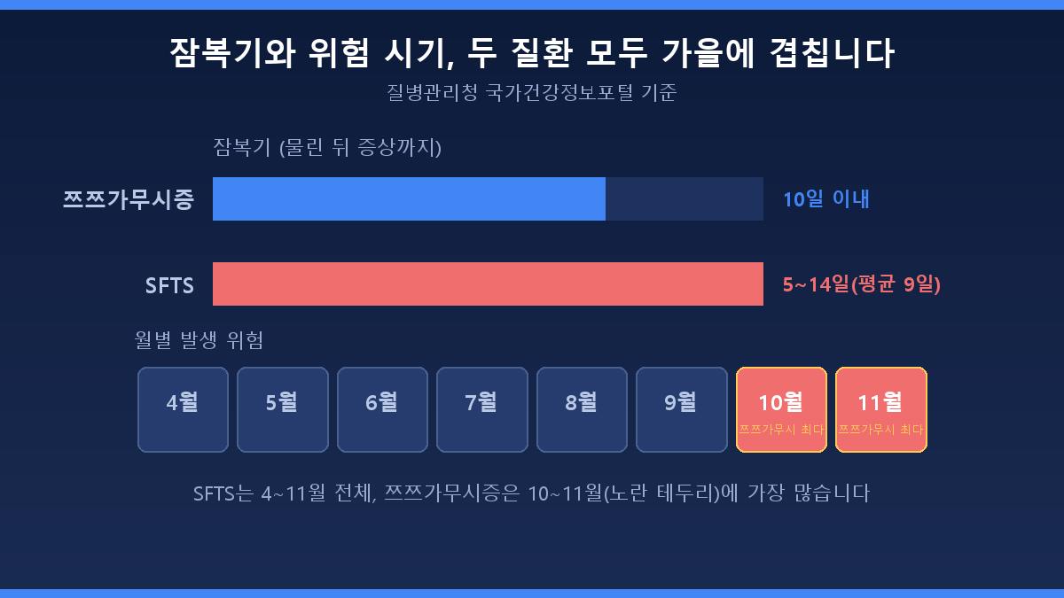 쯔쯔가무시증 SFTS 잠복기 증상 비교 도식