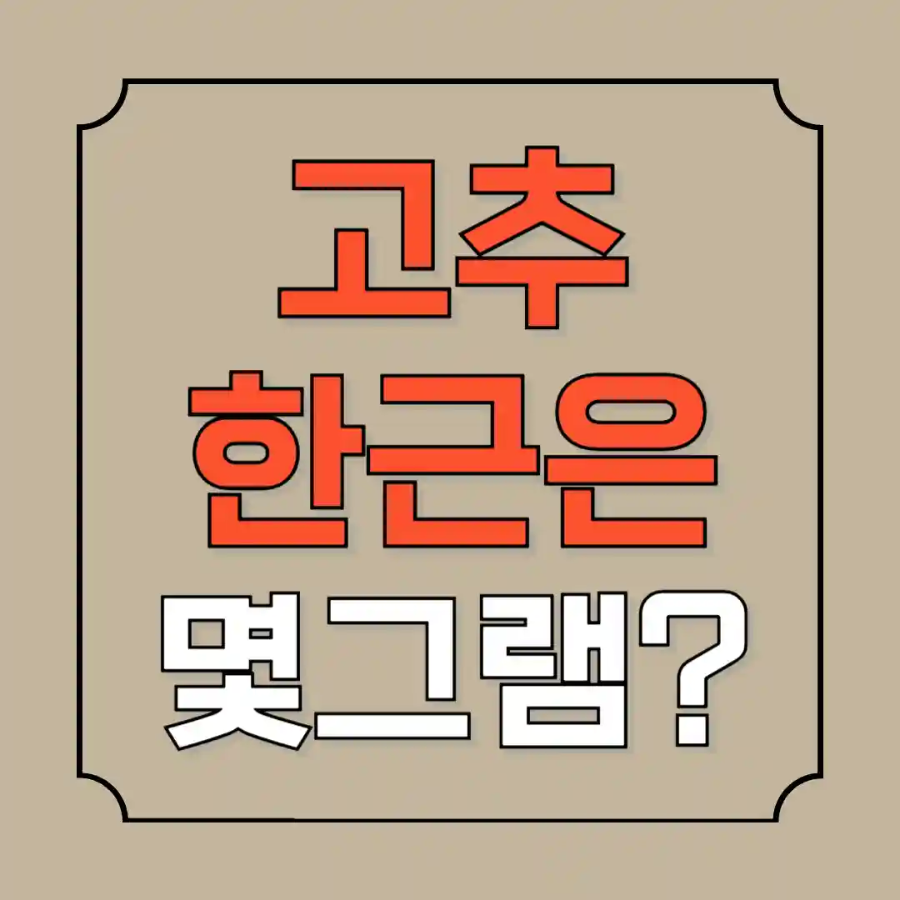 고추 한근은 몇그램