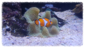 괌 언더 워터 월드