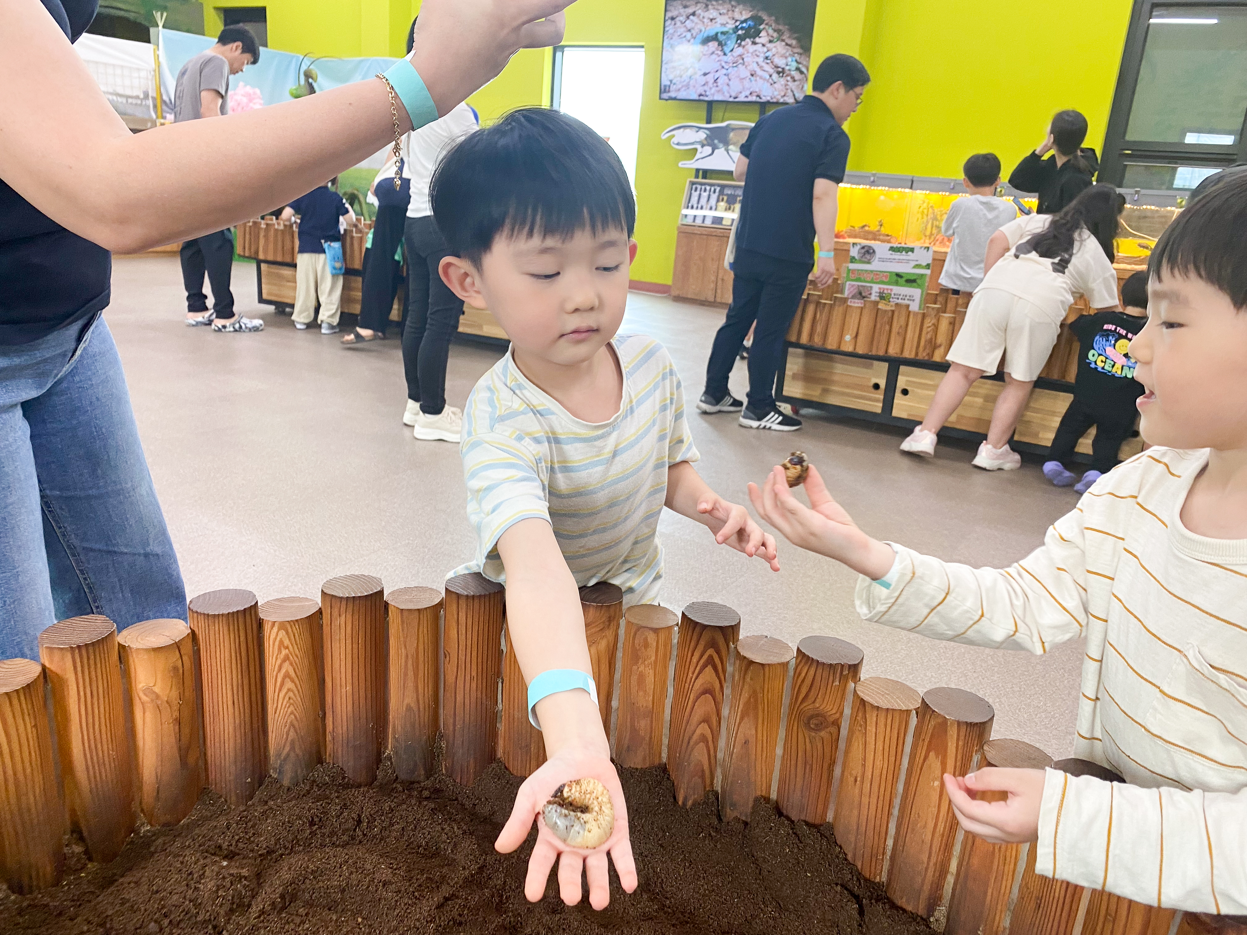 장수풍뎅이 유충 만져보기