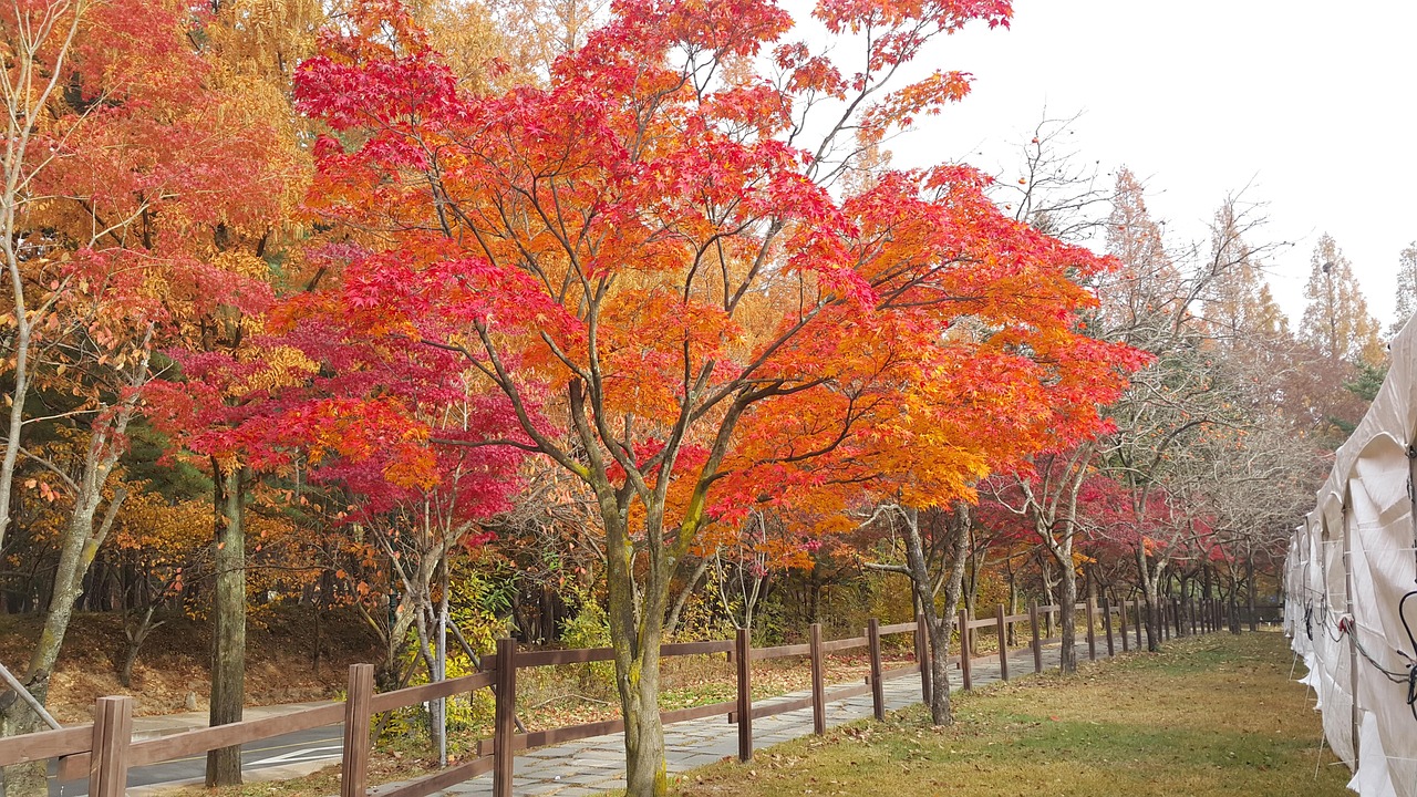 감성 사진 여행자 위한 구미 명소 리스트
