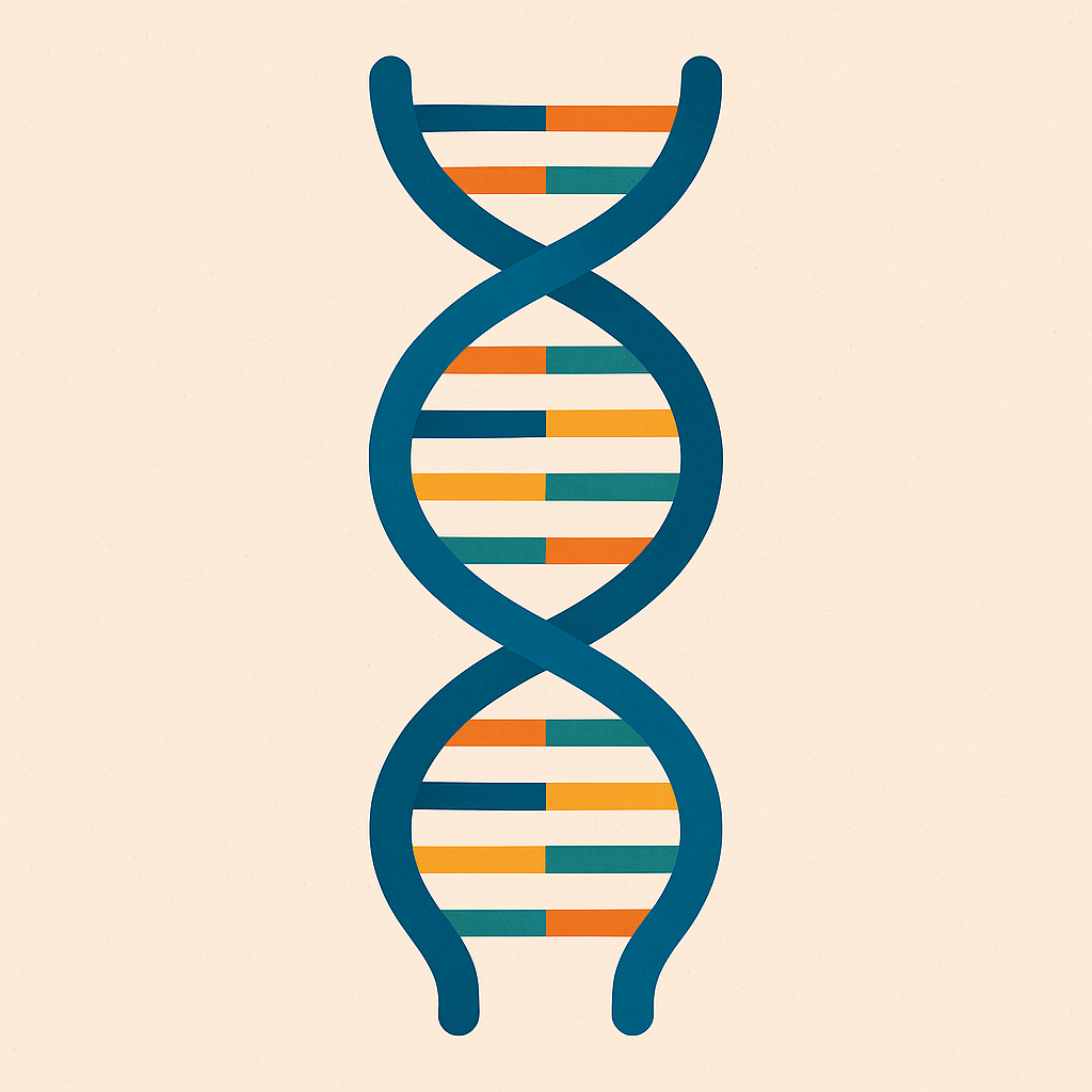 &ldquo;밝은 배경 위에 그려진 평면 스타일의 DNA 이중나선 구조 일러스트, 다채로운 염기쌍이 색상으로 구분되어 표현됨&rdquo;