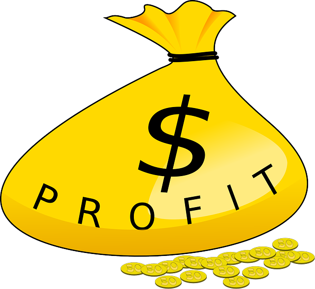 월배당 투자, 직장인 재테크, 배당주 추천, ETF 투자 방법, SCHD, JEPI, 배당 재투자, 국내 배당주, 미국 배당주, 배당소득세, 초보 투자, 적립식 투자, 경제적 자유, 파이어족, 불로소득 만들기, 주식 배당금