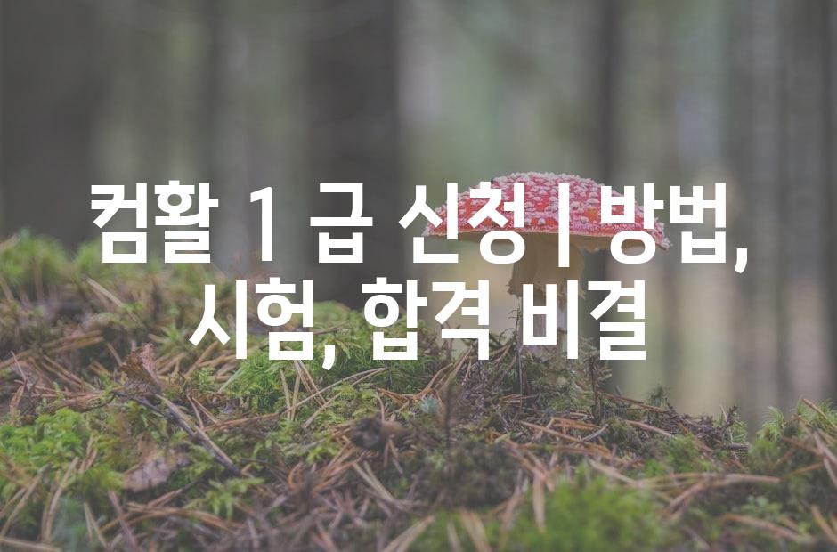 샘플 (42)