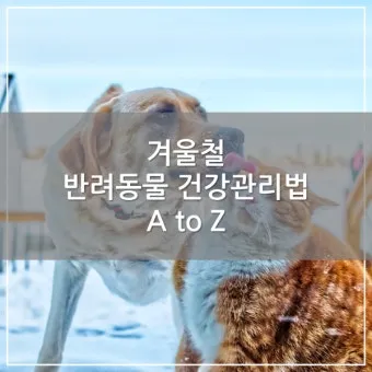 반려동물관리사 자격 교육커리큘럼 실습장비 취업처_23