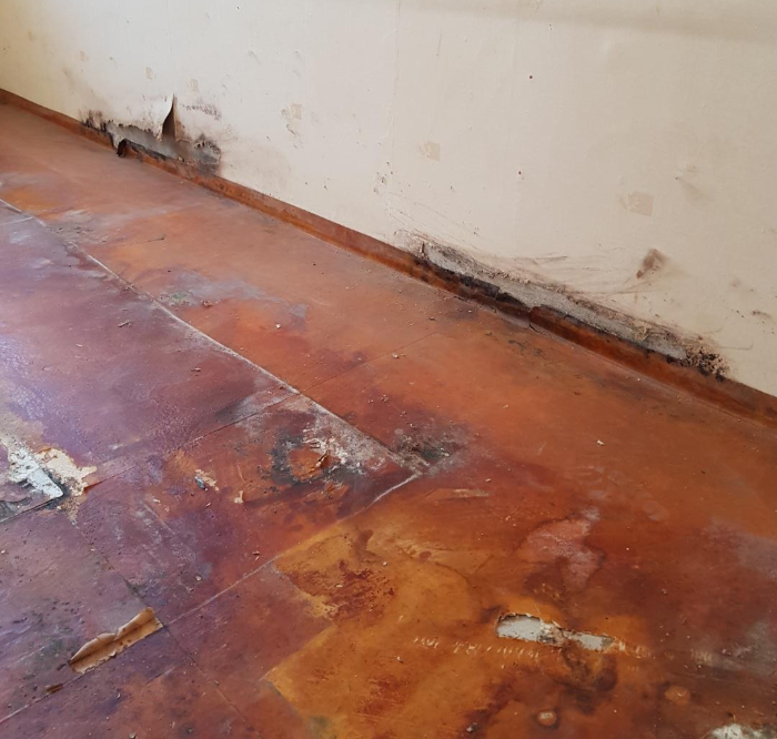 집안 곰팡이 냄새 없애는 법