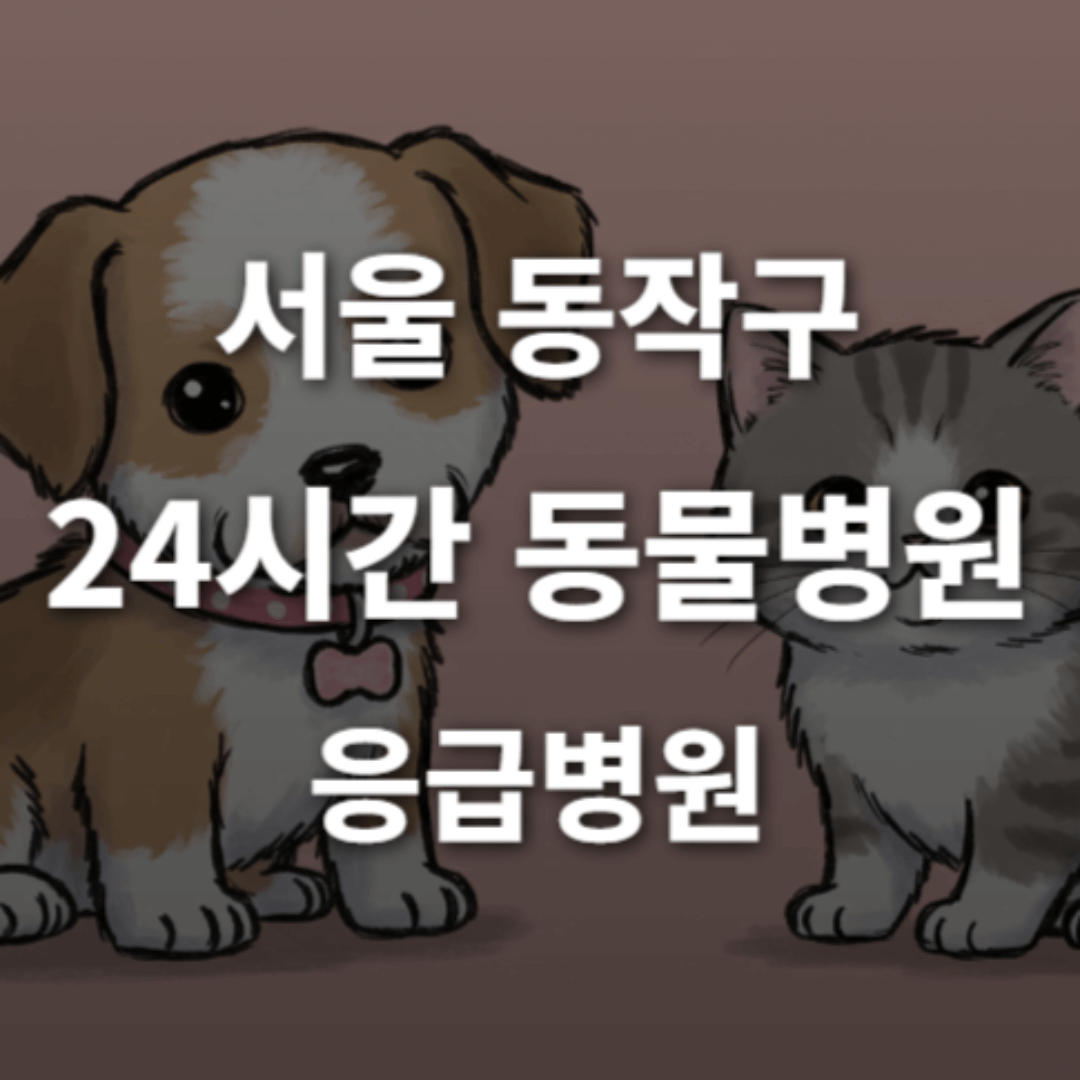 [서울 동작구 24시간 동물병원(상도1동, 사당동)] 반려동물 응급상황 대처 가능한 진료소
