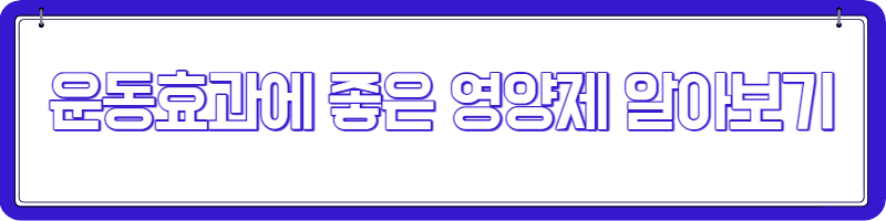 크레아틴 효과 복용법 부작용