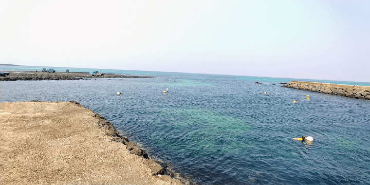 홀로떠나는제주자유여행_당근케이크카페근처방파제