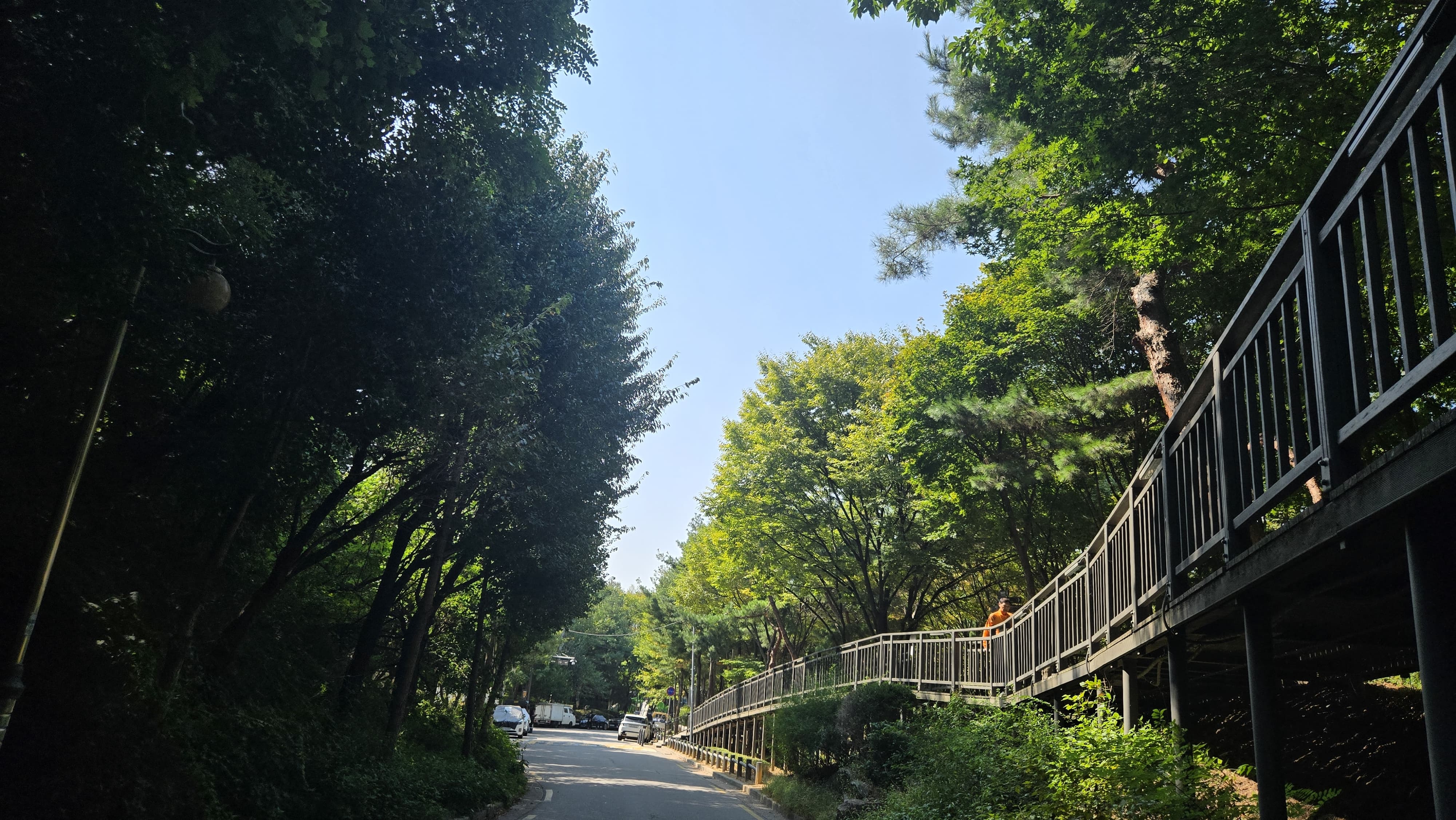 &ldquo;며칠 전부터 아침 공기가 달라졌습니다. 계절은 달력보다 바람으로 먼저 찾아오는 것 같습니다.&rdquo;