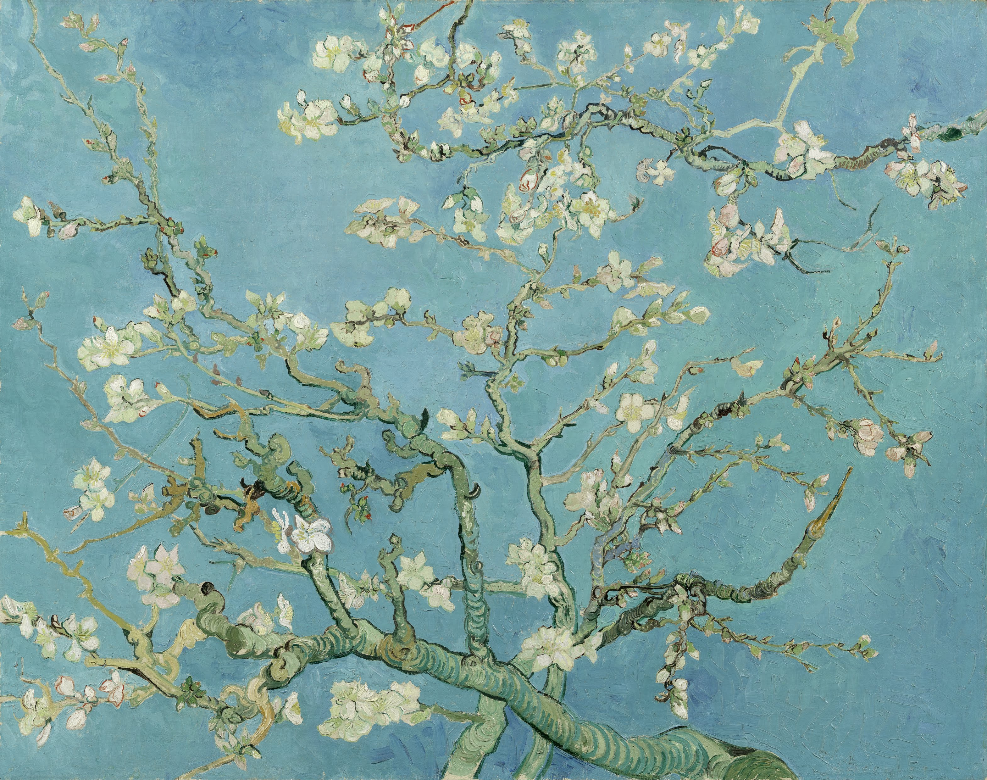 꽃 피는 아몬드 나무 (Almond Blossom, 1890)-빈센트 반 고흐