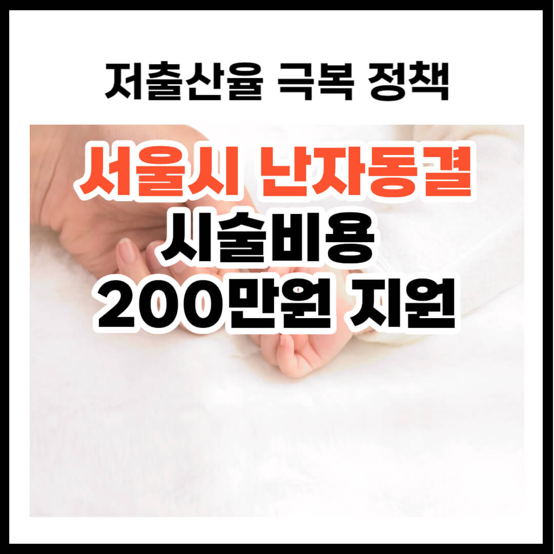 서울시 난자동결 시술비용 지원