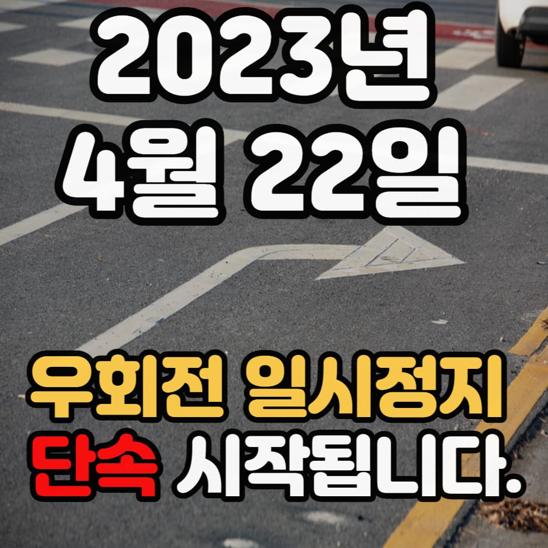 4월22일 교차로 횡단보도 일시정지위반