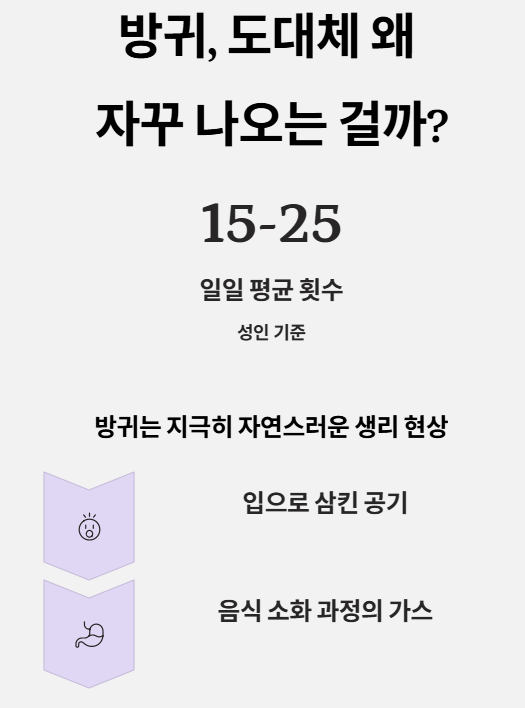 방귀가 많이 나오는 이유