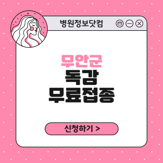 무안군 독감 무료접종 신청 방법|지정 병원 찾기|대상자 조회 확인