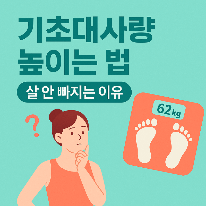 기초대사량 높이는 법 루틴 썸네일 이미지