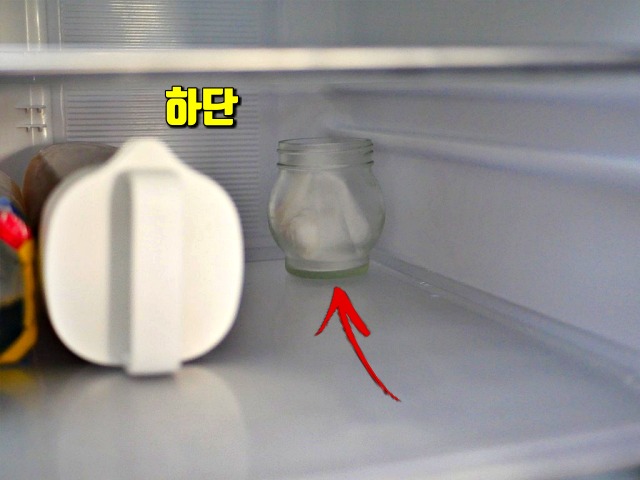 냉장고 냄새제거,음식 쓰레기 냄새 제거,팁줌