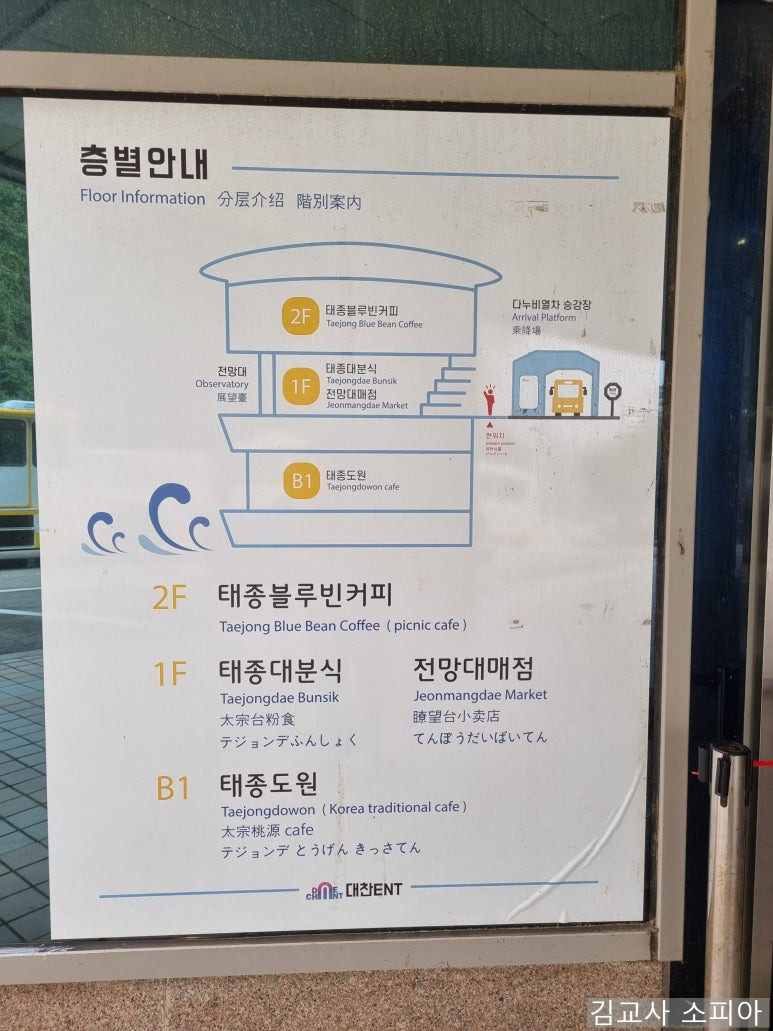 부산 태종대 폭염 여행 리얼후기🌊 여름 필수템 8가지 추천