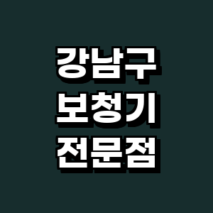 서울 강남구 보청기