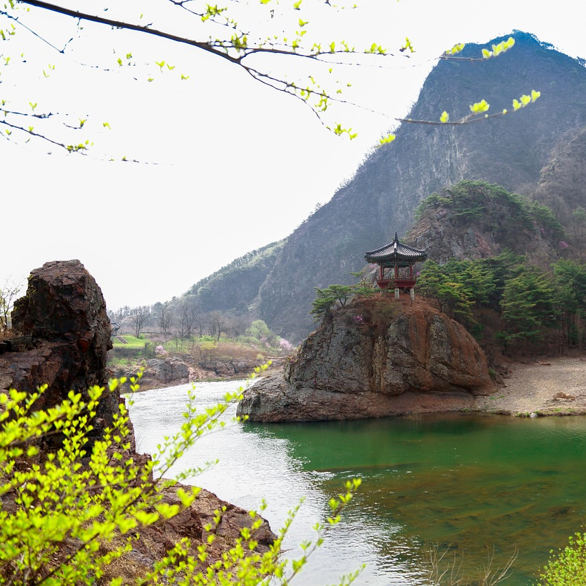 영화'왕과 사는 남자' 관련 이미지