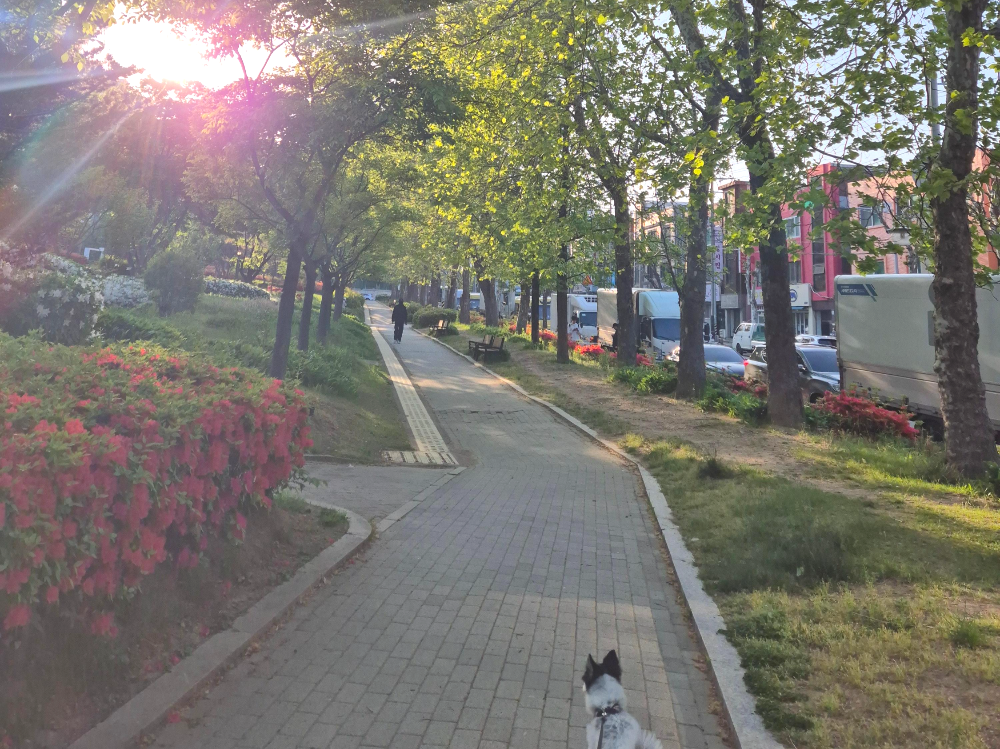 세금은 왜 낼까? 세금의 역할과 기본 구조 이해하기