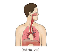 폐암 초기증상