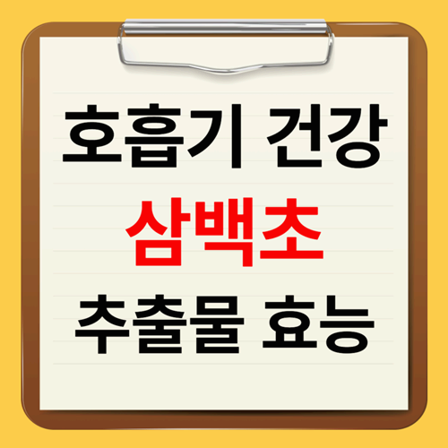 삼백초추출물 먹는방법과 효능