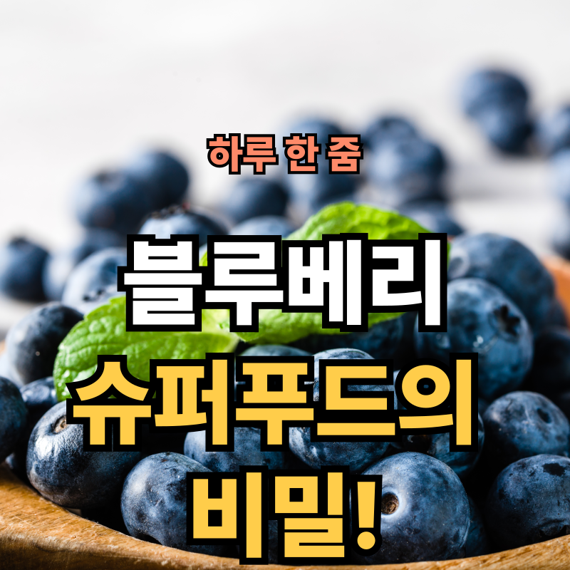 🫐 타임즈 선정 세계 10대 슈퍼푸드, 블루베리! 효능부터 부작용까지 A to Z