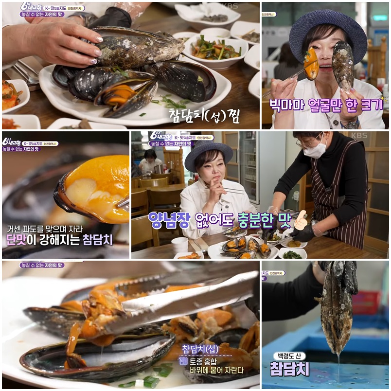 ♥자연산 섭과 참담치 – 바다의 연륜을 담은 깊은 맛