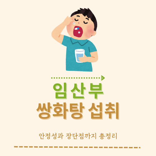 임산부 쌍화탕·한약 완벽 가이드: 대상·효과·시기별·부작용 한눈에 보기